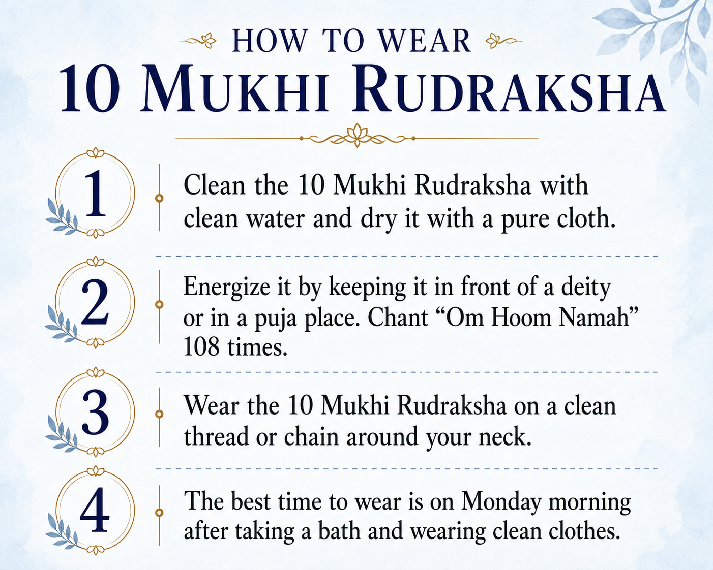 10 Mukhi Rudraksha ( Nepal Origin )